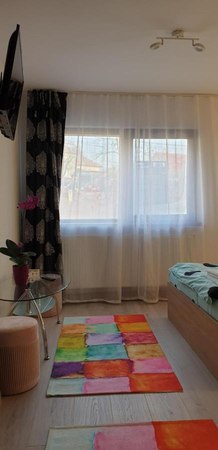 Casa Ana Cluj Apartment ภายนอก รูปภาพ