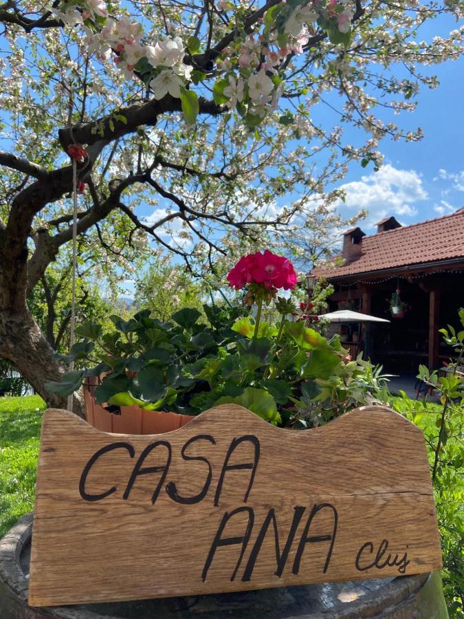 Casa Ana Cluj Apartment ภายนอก รูปภาพ