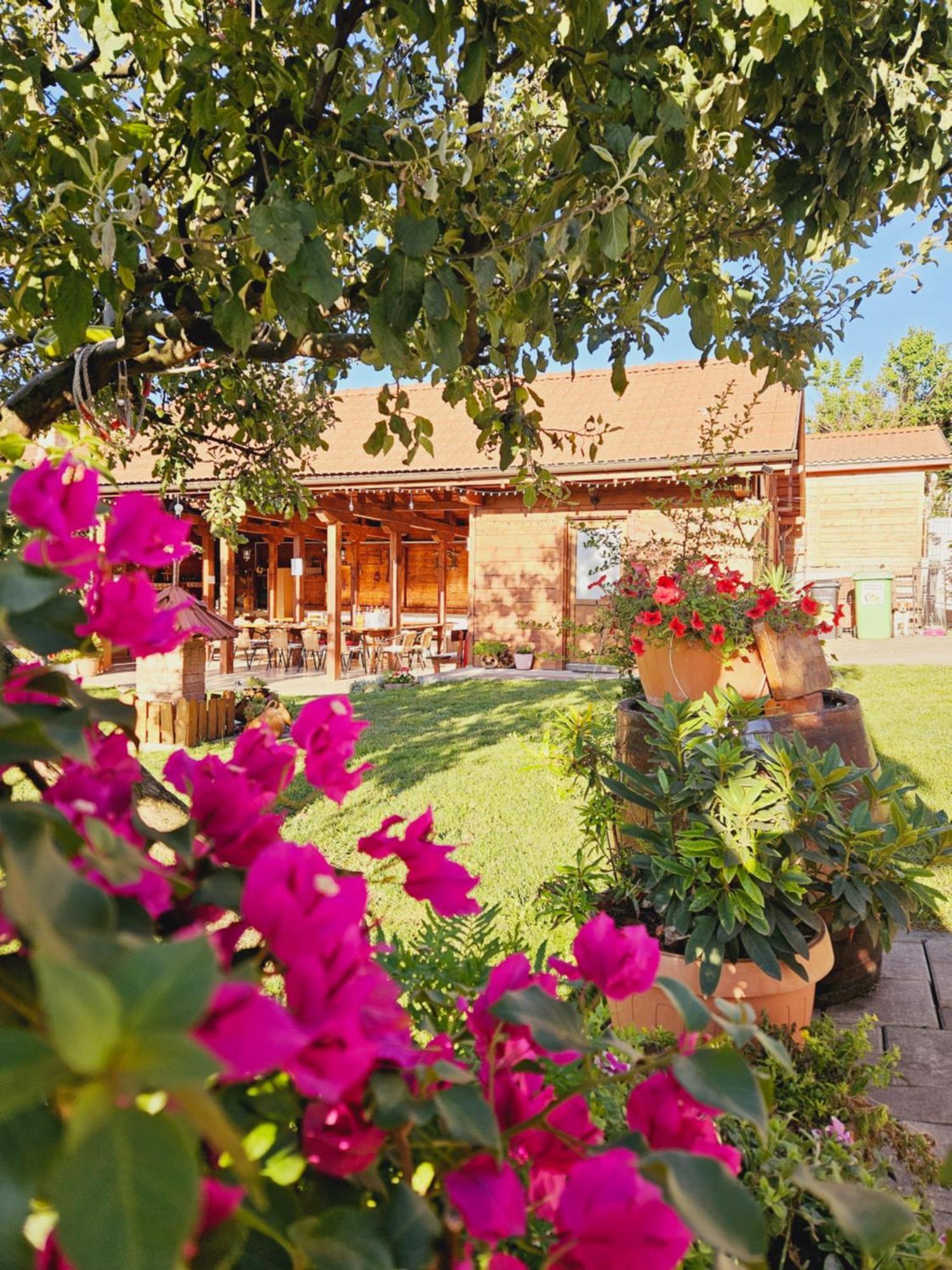 Casa Ana Cluj Apartment ภายนอก รูปภาพ