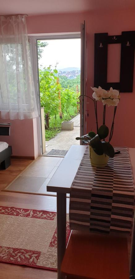 Casa Ana Cluj Apartment ภายนอก รูปภาพ
